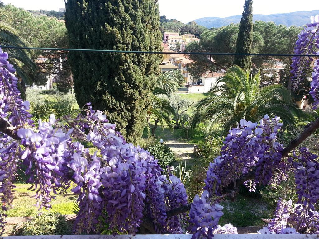 Villa San Giuseppe Porto Azzurro Bagian luar foto