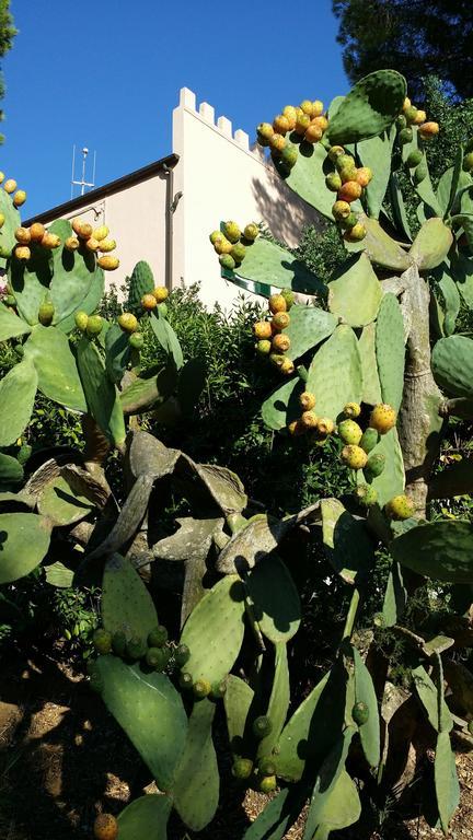 Villa San Giuseppe Porto Azzurro Bagian luar foto